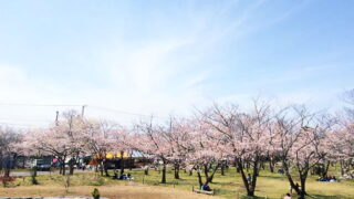 67959c00321651750d3989942944c7